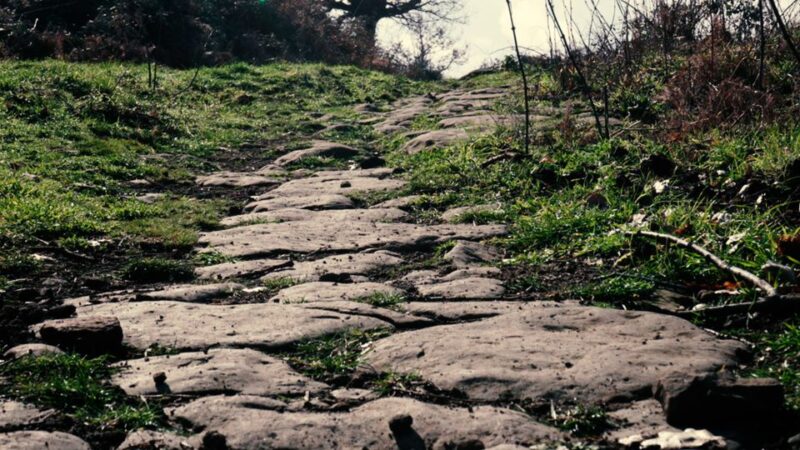 Near Rome: Irish / Goethe Hike in Frascati to Monte Tuscolo - Value and Booking Flexibility