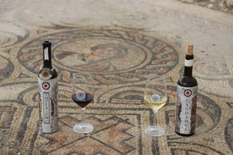 Negrar: Roman Villa Mosaics Tour & Valpolicella Wine Tasting - The Guided Tour of the Winery and Cellar
