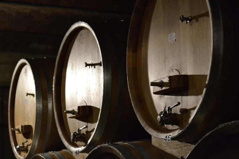 NEIVE: WINERY TOUR AND TASTING OF 5 WINES - Tasting of 5 Organic Wines in a Historic Setting