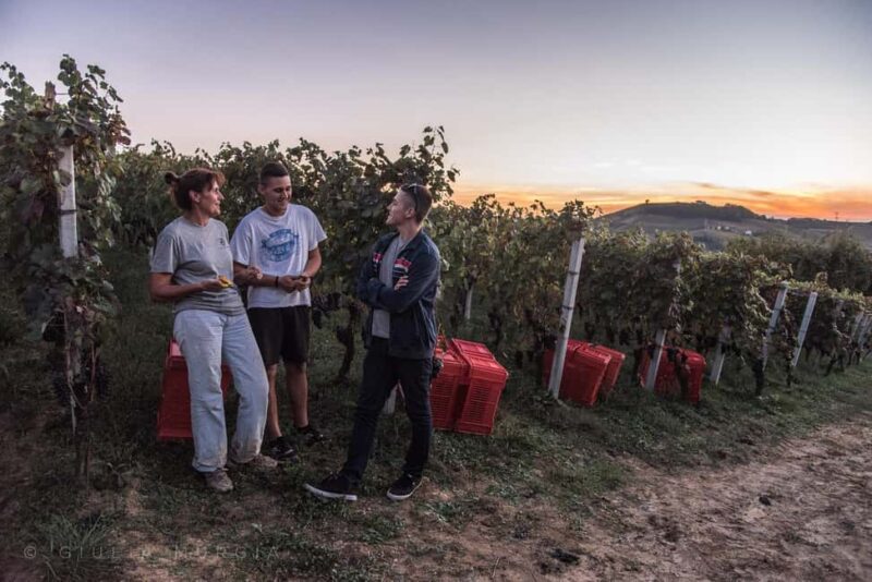 NEIVE: WINERY TOUR AND TASTING OF 5 WINES - Who Should Choose This Winery Tour and Tasting