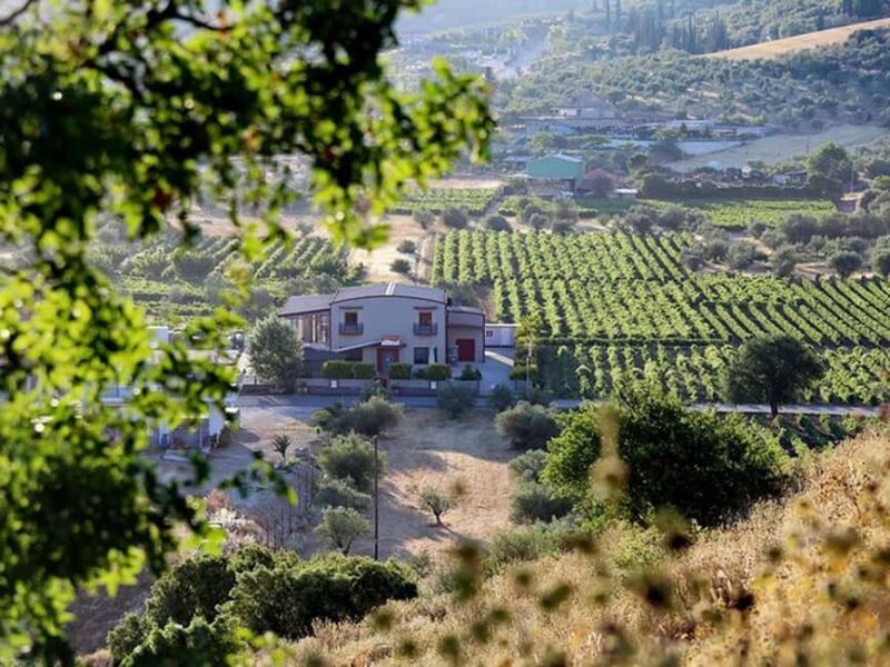 Nemea: Wine Tasting Tour with Local Dishes - Optional Visits to Nemea’s Cultural Gems