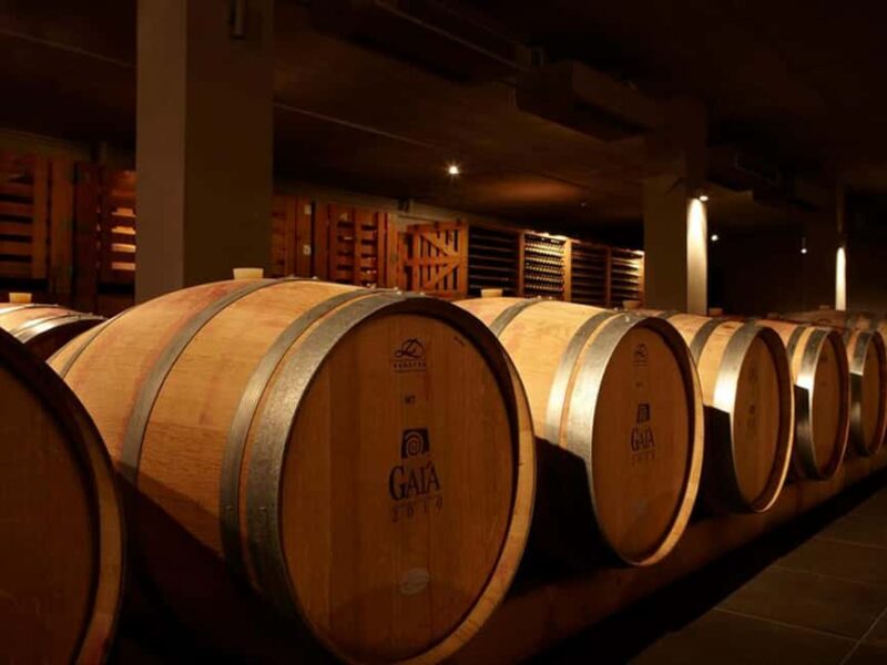 Nemea: Wine Tasting Tour with Local Dishes - Who Will Enjoy This Tour Most