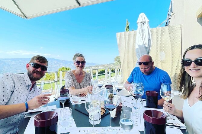 Nemea Wine Tour from Athens, Nafplio or Nemea with Oenologists - Who Should Book This Tour