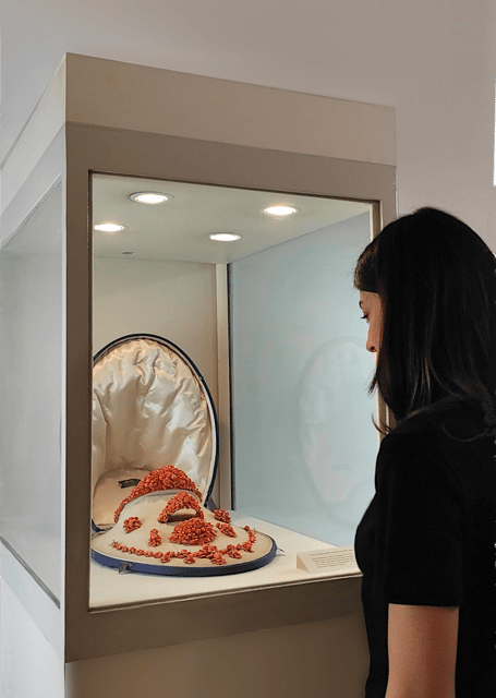 Nepales: Discover the Rich Heritage of Ascione Museum - Visiting Hours and Reservation Process