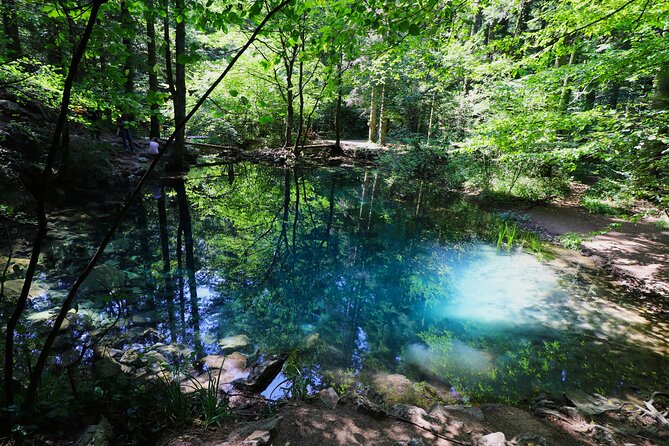 Nera Gorge National Park - Private Day Tour from Timisoara - Explore the Spectacular Nera Gorge National Park from Timisoara for $157.08