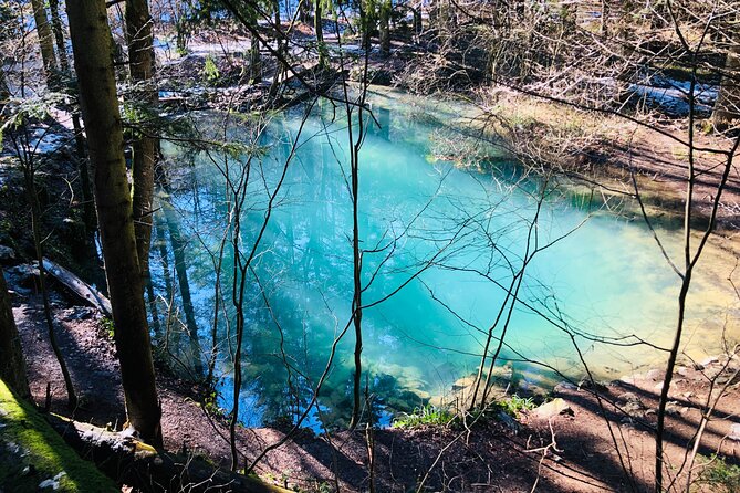 Nera Gorge National Park - Private Day Tour from Timisoara - Approaching Beusnita Waterfall and Its Variable Flow