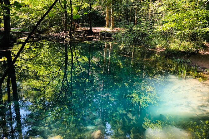 Nera Gorge National Park - Private Day Tour from Timisoara - The Experience Provider: Timisoara City Tours