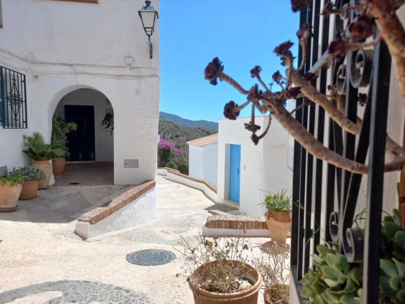 Nerja, Frigiliana & El Acebuchal: Full-Day Semi-Private Tour - Accessibility and Suitability
