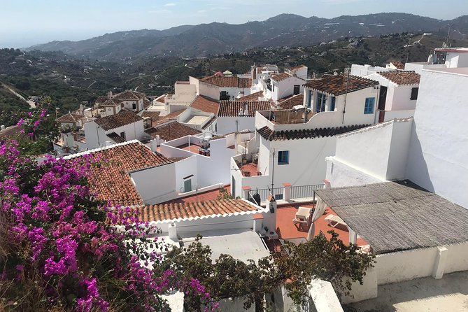 Nerja & Frigiliana Private Day Trip from Malaga or Marbella - Flexibility and Personalization of the Tour