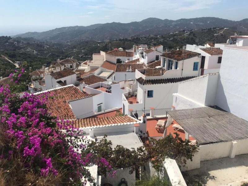 Nerja & Frigiliana Private Day Trip from Malaga - Practical Details: Accessibility and Suitability