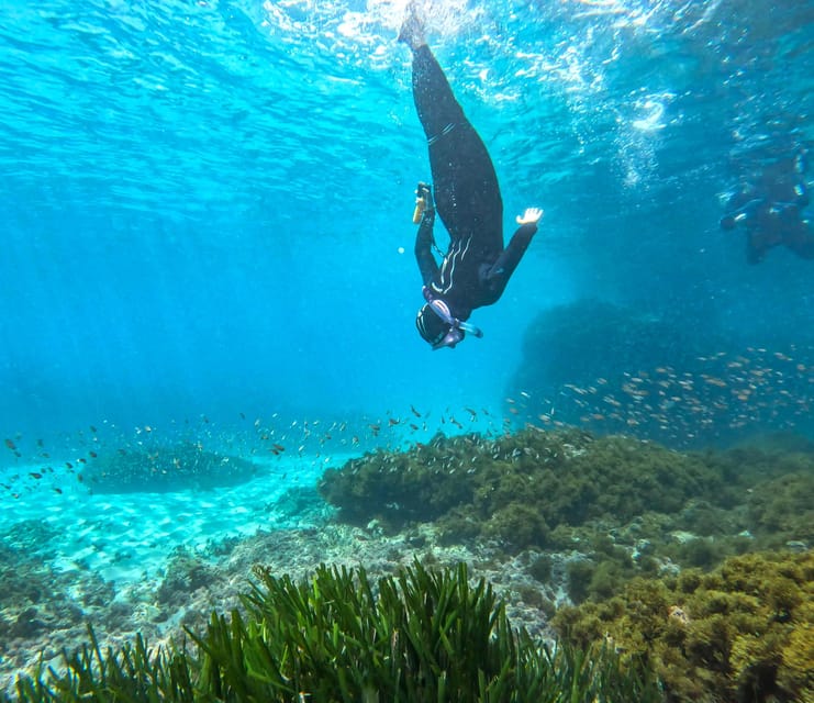Nerja-Maro: Snorkeling & Sea Scooter - Starting from the Beach: Meeting at Educare Aventura