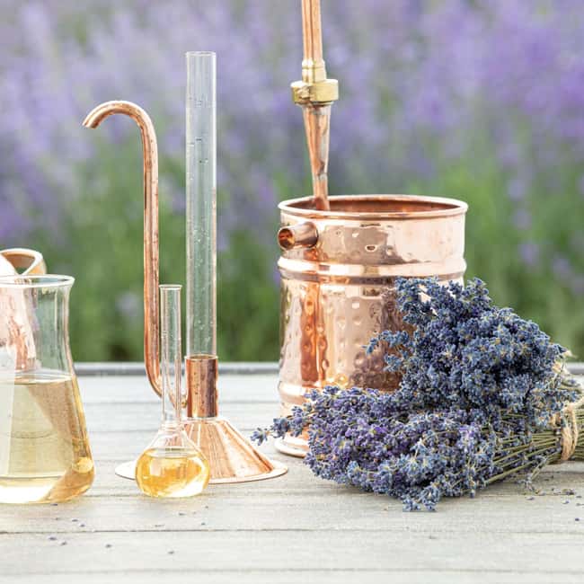 Nerja: Perfume Workshop: create your 30ml Eau de Parfum - Who Will Love This Perfume Workshop in Nerja