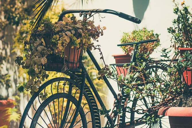 Nerja (Pueblo) + Frigiliana & El Acebuchal - Semi-Private - Key Points