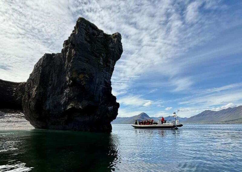 Neskaupstaður: RIB Boat Tour with Drink - Starting Point and Easy Check-In at Beituskúrinn