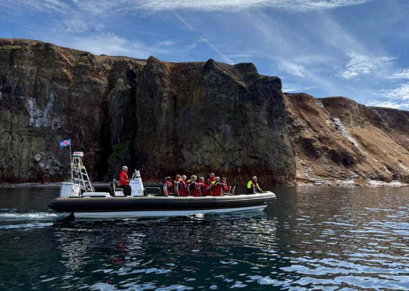 Neskaupstaður: RIB Boat Tour with Drink - Exploring Páskahellir Sea Cave and Ancient Tree Molds