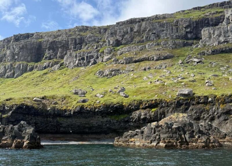 Neskaupstaður: RIB Boat Tour with Drink - The Majesty of Nípan: Icelands Tallest Sea Cliff