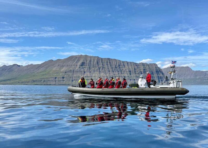 Neskaupstaður: RIB Boat Tour with Drink - The Colorful Grandeur of Rauðubjörg Cliffs