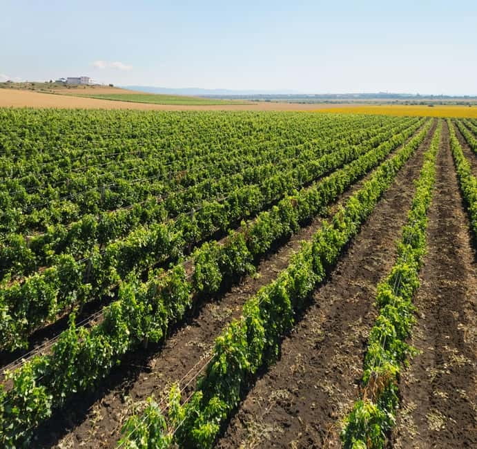 Nessebar: Guided Tour in English with Wine Tasting - Overall Impression: A Rich Taste of Bulgaria’s Heritage and Flavors