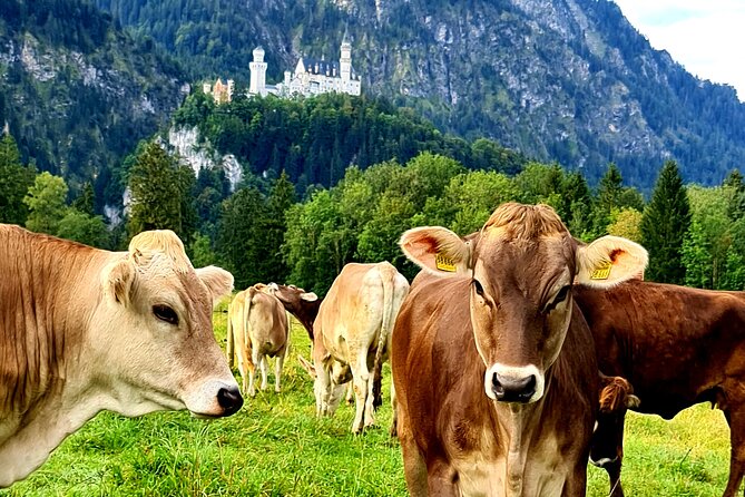 Neuschwanstein Castle, Ettal Abbey and Oberammergau Private Tour from Munich - Exploring Oberammergau: The Village of Art and History