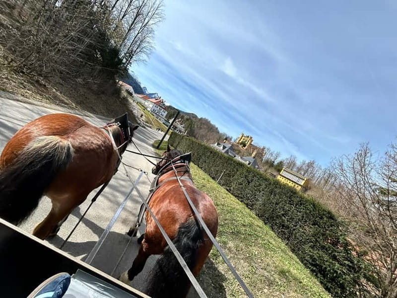 Neuschwanstein Castle Skip-the-Line Ticket with Audio Guide - Why This Tour Is a Practical Choice for Visiting Neuschwanstein