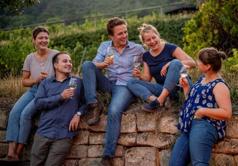 Neustadt: Wine tasting with cellar tour and vineyard tour - The Neustadt Winery: A Family Tradition of Organic Viticulture