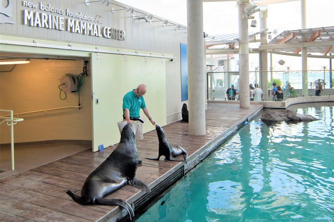 New England Aquarium Admission Ticket in Boston - Penguins and Large Tank Encounters