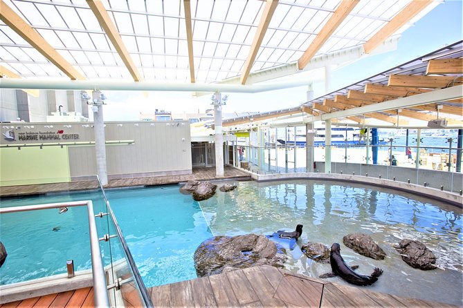 New England Aquarium Admission Ticket in Boston - Practical Details: Accessibility, Timing, and Booking