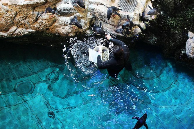 New England Aquarium Admission Ticket in Boston - Realistic Expectations Based on Visitor Review Feedback