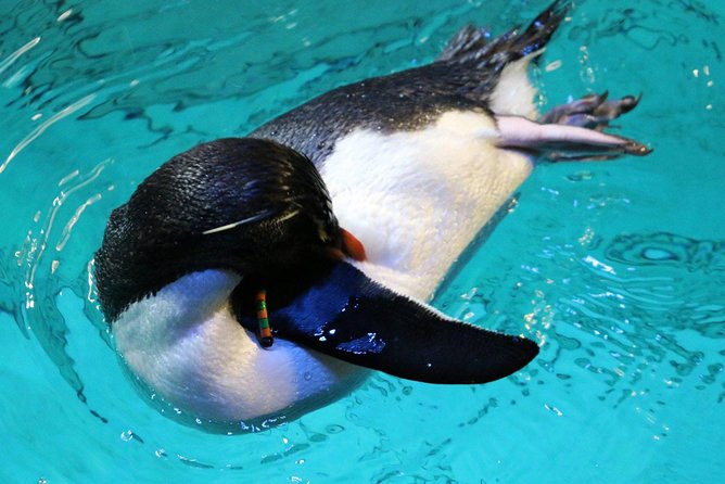 New England Aquarium Admission Ticket in Boston - How the Tour Differentiates from Other Boston Attractions