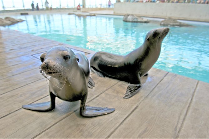 New England Aquarium Admission Ticket in Boston - The Sum Up: A Well-Rounded Marine Experience in Boston