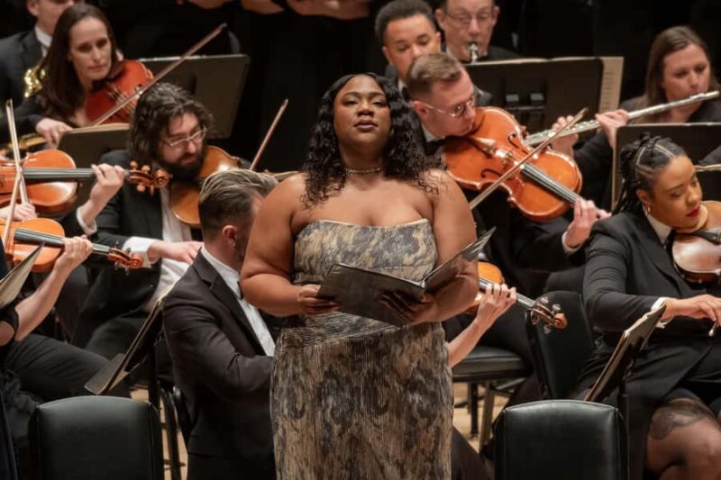 New England Symphonic Ensemble Concert at Carnegie Hall - Who Should Attend the NESE Concert?