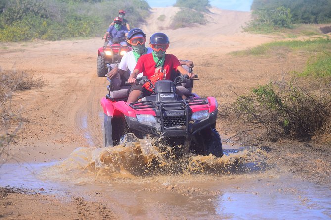 New!!! Extreme Beach & Desert Off-Road Atv Experience - Highlights of the Experience According to Reviews