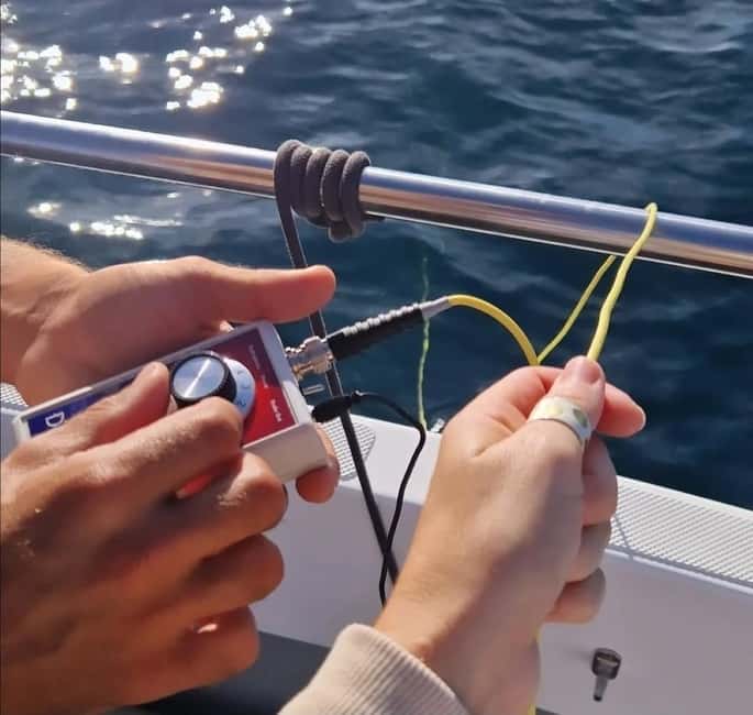 New: Into the Wild - 3H w/Marine Biologists - dolphins &more - Encountering Dolphins and Marine Life in the Atlantic