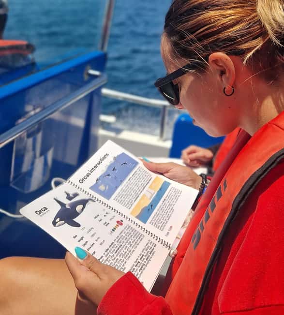 New: Into the Wild - 3H w/Marine Biologists - dolphins &more - Join Marine Research as a Citizen Scientist