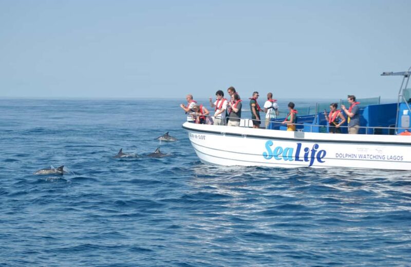 New: Into the Wild - 3H w/Marine Biologists - dolphins &more - The Role of the Marine Biologists on Board