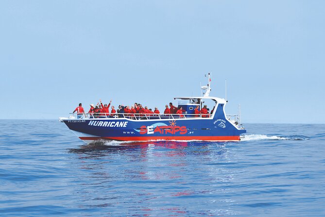 NEW Lagos-Watching Dolphins and Benagil Cave with Biologists - Key Points