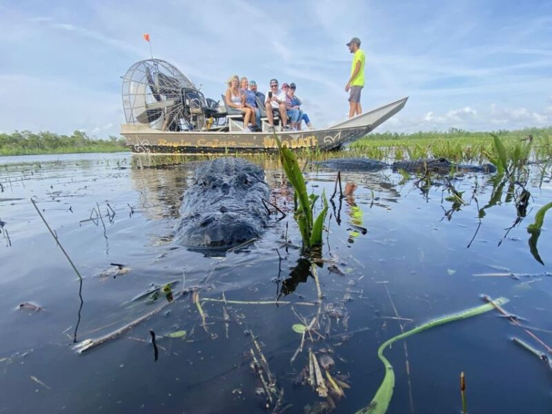 New Orleans: 10 Passenger Airboat Swamp Tour - The Guide: Passionate and Well-Informed