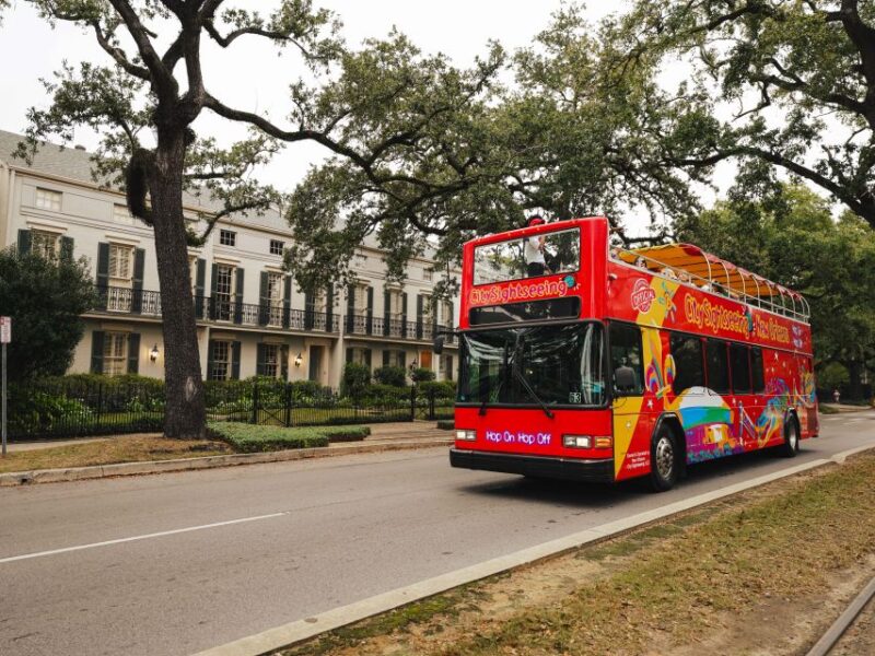 New Orleans: 2 or 3 Day Hop-On Hop-Off Bus with Walking Tour - From the French Market to Canal Street