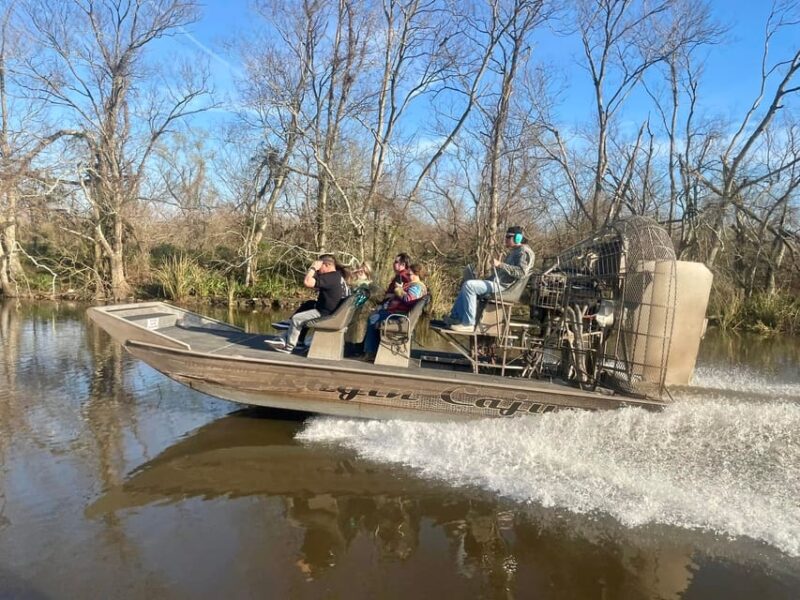 New Orleans: 6 Passenger Premium Airboat Swamp Tour - Encountering Louisiana Wildlife During the Tour