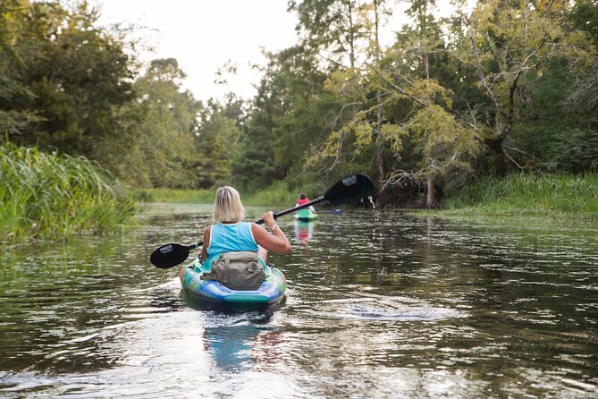 New Orleans Bayou Adventure: Kayak Rental - Explore Cane Bayou at Your Own Pace with a Kayak Rental in Louisiana