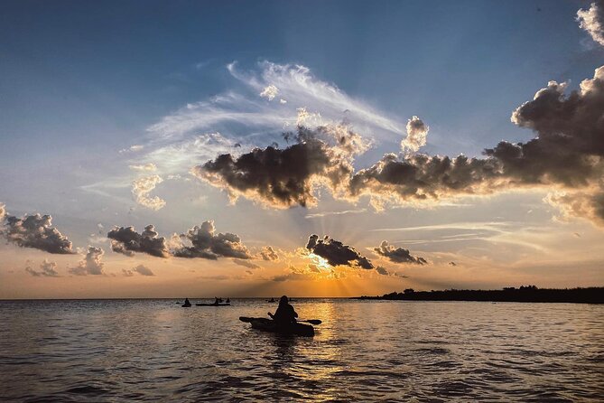 New Orleans Bayou Adventure: Kayak Rental - Self-Service Kayak Rental with a User-Friendly System in Louisiana