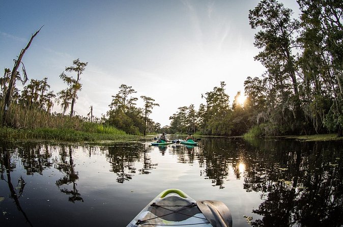 New Orleans Bayou Adventure: Kayak Rental - Environmental Focus and Educational Opportunities