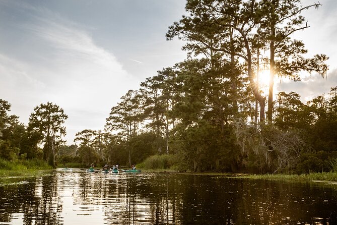 New Orleans Bayou Adventure: Kayak Rental - Who Will Enjoy This Experience?