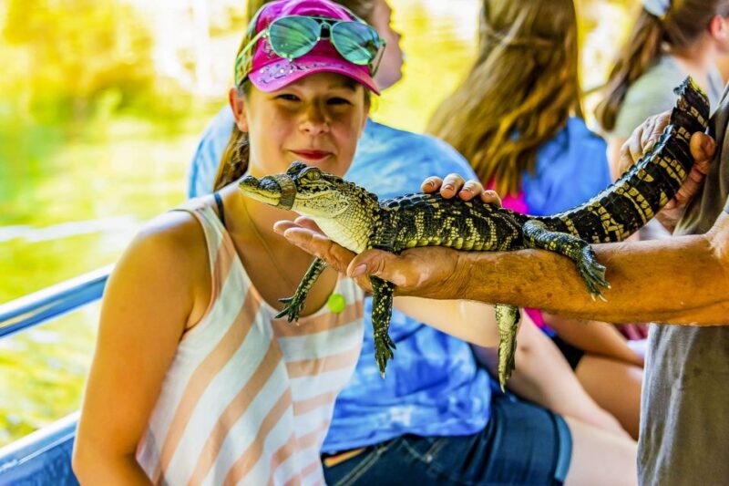 New Orleans: Bayou Swamp Tour and Oak Alley Plantation Tour - Guided Boat Tour of Manchac Swamp and Louisiana Wildlife