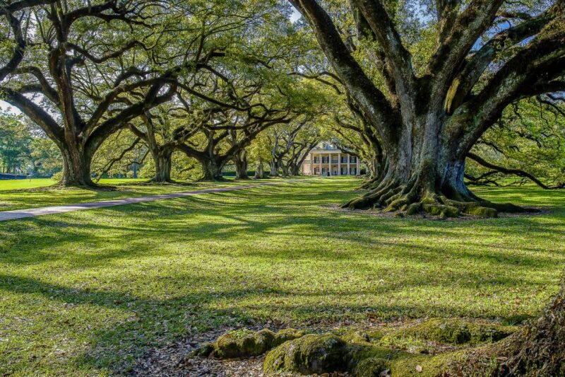 New Orleans: Bayou Swamp Tour and Oak Alley Plantation Tour - Frequently Asked Questions