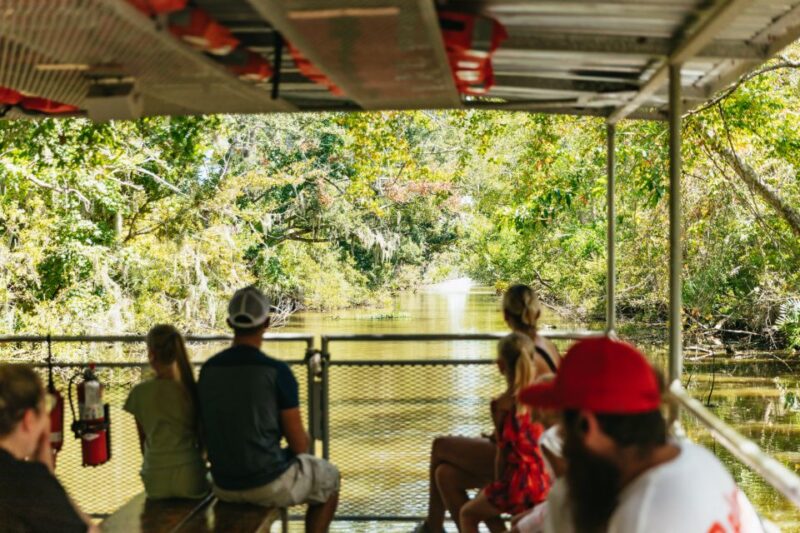 New Orleans: Bayou Tour in Jean Lafitte National Park - Jean Lafitte National Park Swamp Tour: An Authentic Louisiana Experience