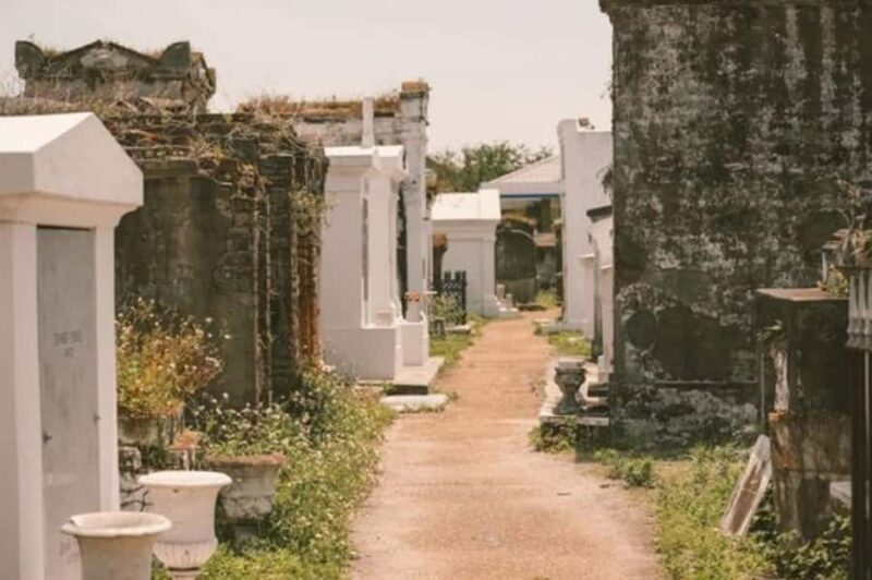 New Orleans : Best Street Food Tour With A Local Guide - Flexibility and Customization with the Guide