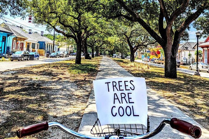 New Orleans Creole History and Culture Ride - What Makes This Tour Unique in New Orleans