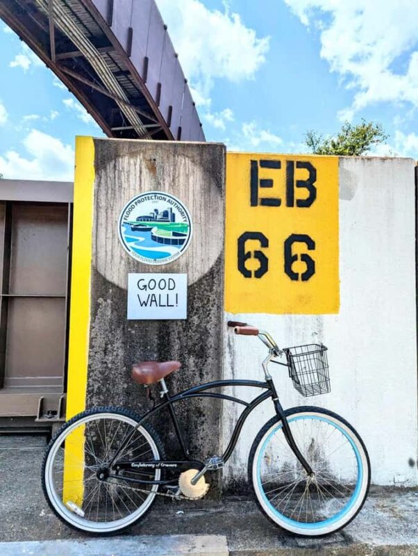 New Orleans: Creole History & Culture Neighborhood Bike Ride - What’s Included and What to Bring