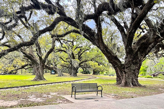 New Orleans Driving Tour of Bayou St. John, City Park, Treme etc - Unique Features and Highlights of the Tour